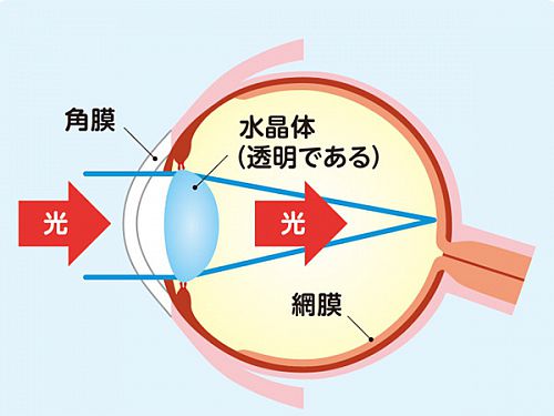 健康な眼のイラスト